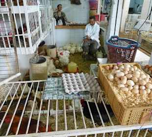 Viele Stände mit zu kleinen Käfigen