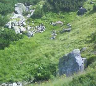 Tatrzański Park Narodowy