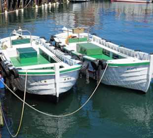 Börteboote im Helgoländer Hafen