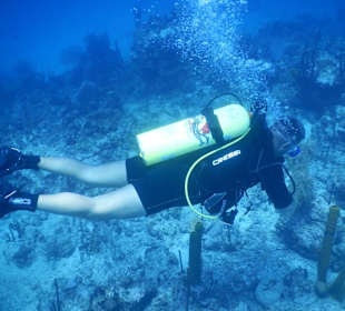Unser Tauchlehrer Udo im "Aquarium" vor Catalina