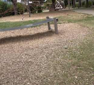 Spielplatz Heckenrosenweg Gülstein