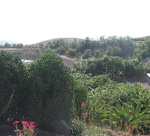 Jardin Botanico de Cactus im Oasispark