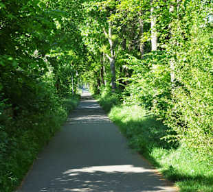 Auf dem Jan-Reiners-Weg durch das Hollerland