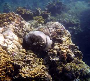 Wir kommen wieder, aber nur noch im Winter