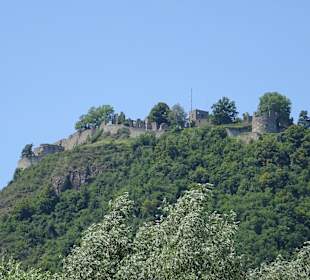 Stadtrundgang Singen
