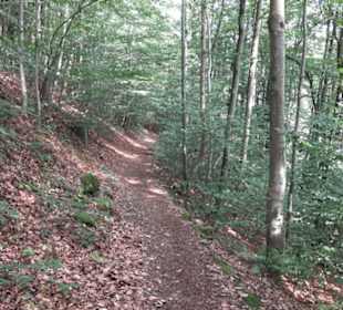 Felsenhäusle