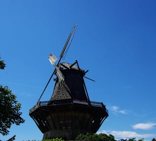 Die Windmühle