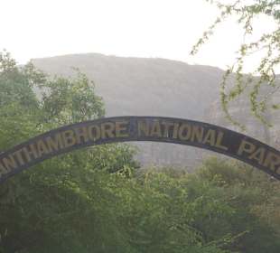 Ranthambore N.P.
