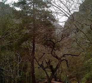 Restaurant am Canyon