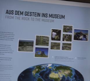 Dinosaurier Museum Altmühltal