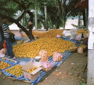Orangenmarkt am Mekong