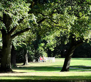 Herbstspaziergang durch Knoops Park