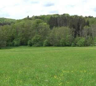 Naturpark Schönbuch