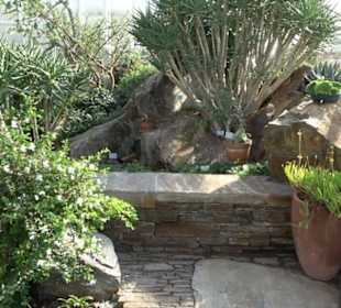 Gewächshäuser Botanischer Garten
