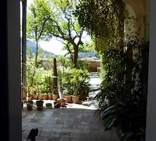 Einblick zum Klostergarten