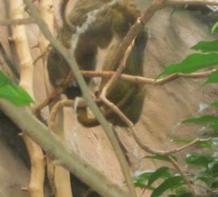 Impressionen aus dem Landauer Zoo