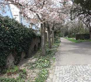 Alter Friedhof