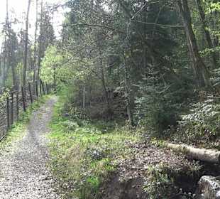 Walderlebnisweg Rottenburg