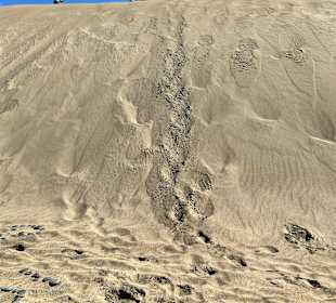 Dünen von Maspalomas