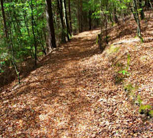Wanderung zum Bärenfels