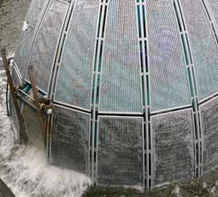 Tauchgondel in Sellin 