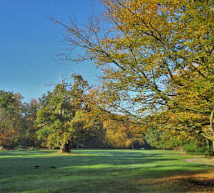 Herbstspaziergang durch den Schlosspark Lütetsburg