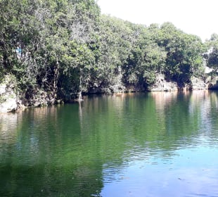 Mnarani Marine Schildkröten Conservation