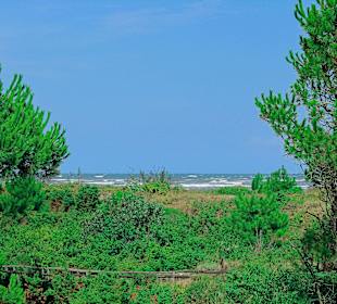 Botanischer Garten von Porto Caleri