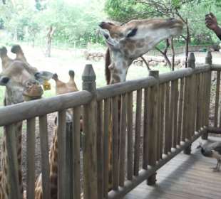 Die kann man auch streicheln