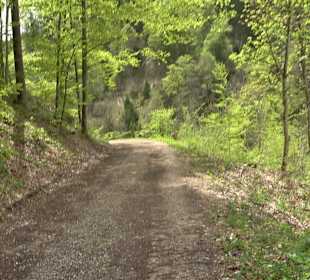 Wandergebiet Liebfrauental