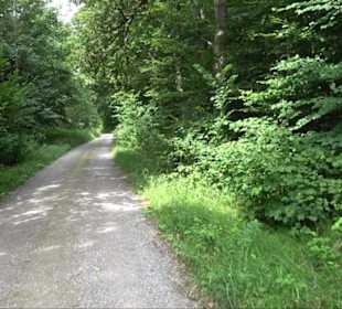 Sonnenaufgangs-Rundwanderung Rübgarten