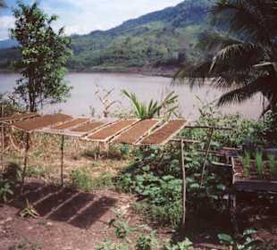 Dorf am Mekong