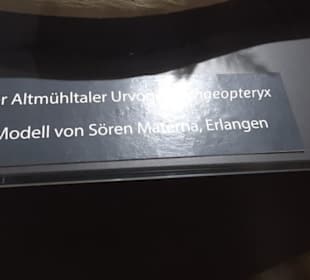 Dinosaurier Museum Altmühltal