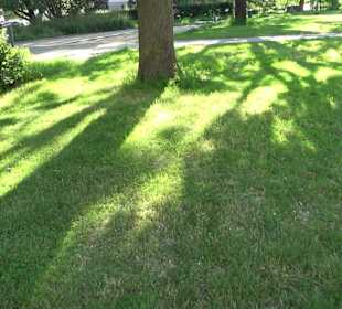 Seegarten-Anlage / Kurfürsten-Anlage