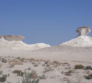 Bir Zekreet