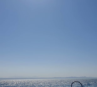 Delfin Tour Hurghada