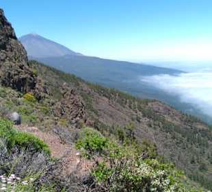  Parque Nacional del Teide