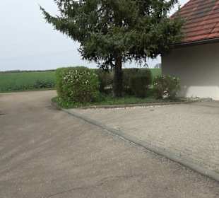 Friedhof Suppingen