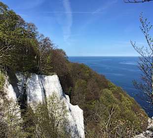 Nationalparkzentrum Königstuhl