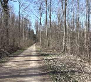 Premiumwanderweg "hochgeblickt"