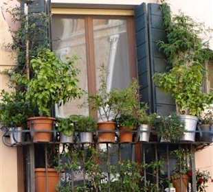 Typische Fensterzeile