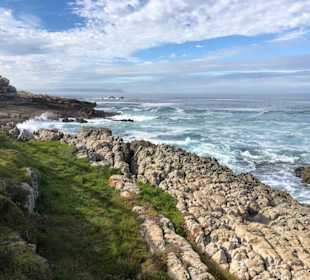 Wandern Hermanus
