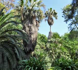 Rundgang durch den Botanischen Garten Cagliari