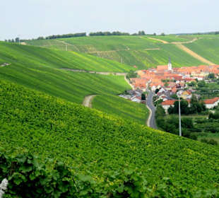 Mainschleife mit Eschendorf
