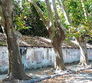 Colonia del Sacramento