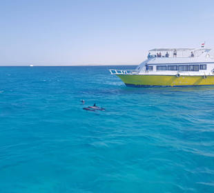 Delphine - Karibikfeeling in Hurghada