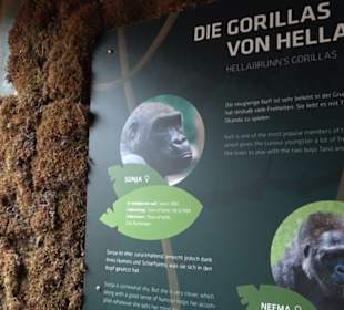 Tierpark Hellabrunn - Welt der Affen