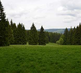Aussicht Thüringer Wald / unterwegs