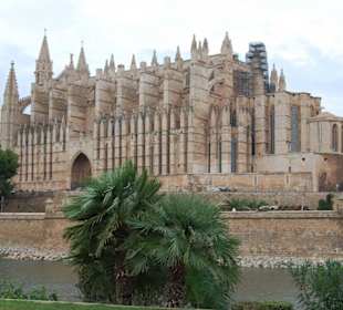 Palma