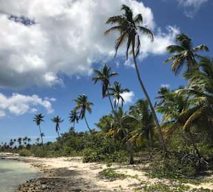 Saona Tour 
